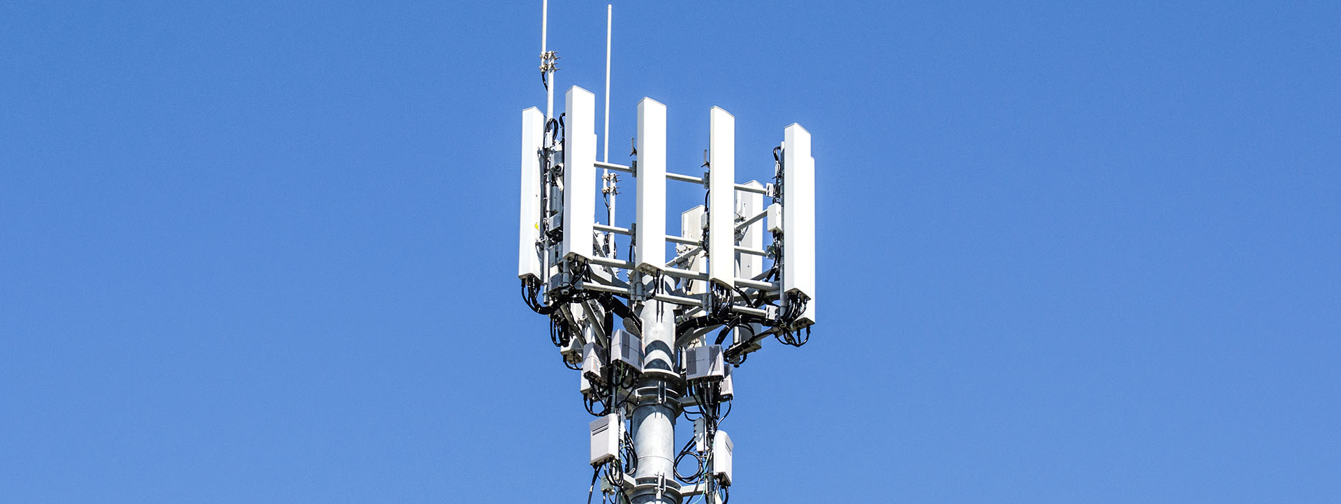 Arrendamiento de Antenas de Telefonía: Qué debe saber Arrendamiento de Antenas de Telefonía: Qué debe saber